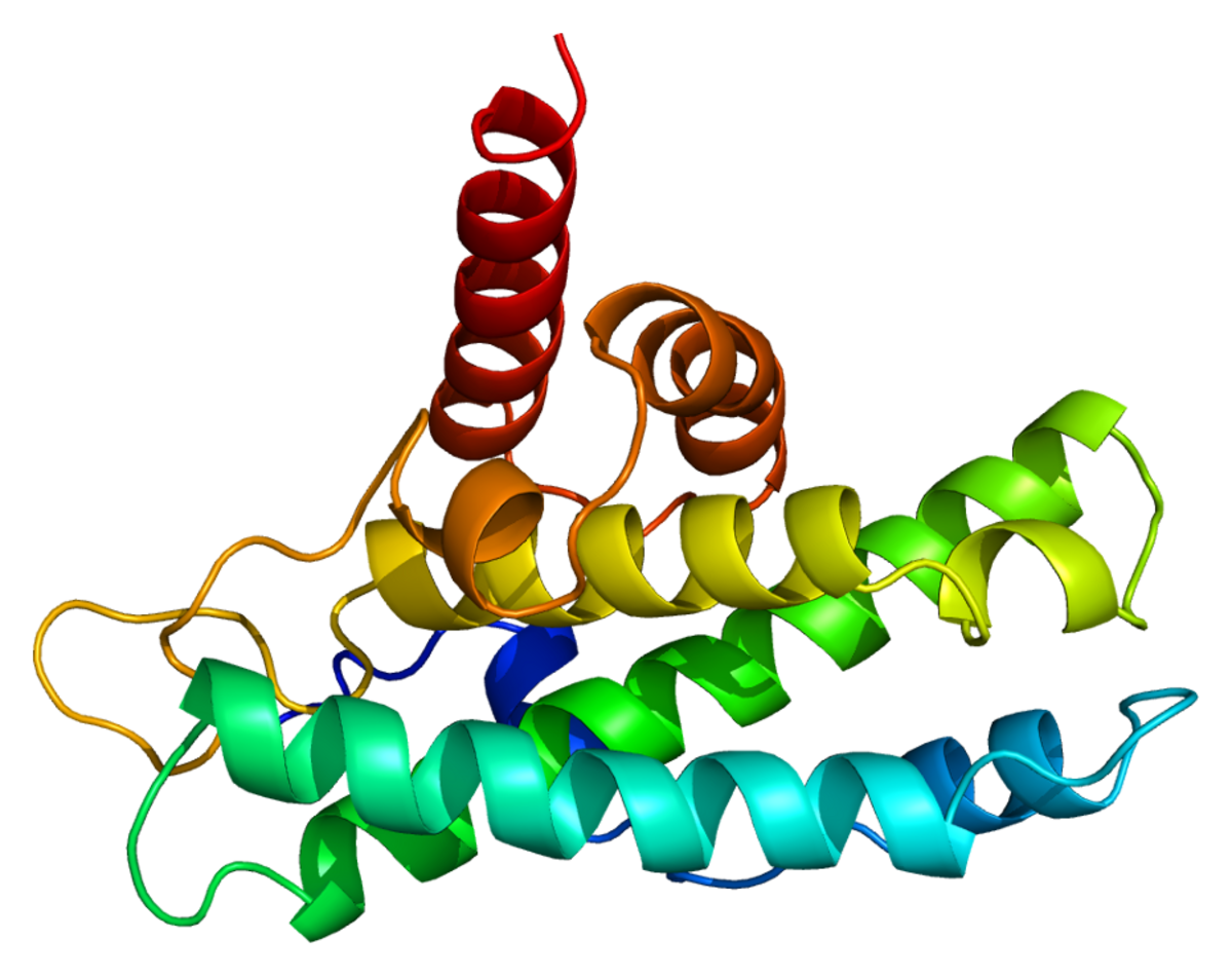 Protéine du rétinoblastome