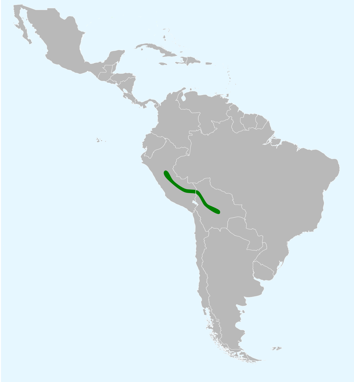 Répartition du Cassique olivâtre