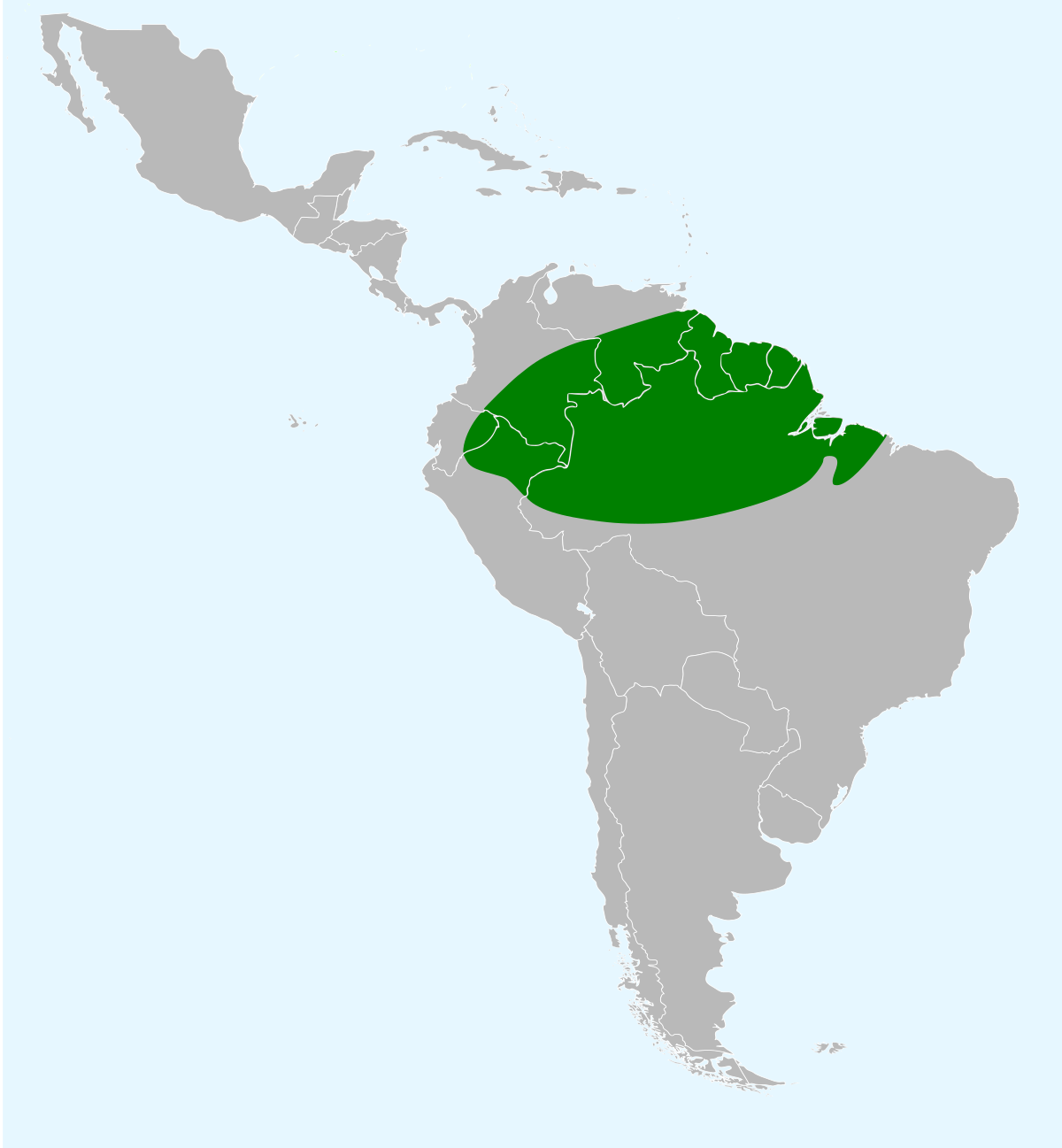 Répartition du Cassique vert