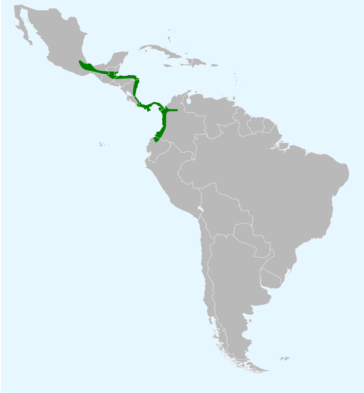 Répartition du Cassique à tête brune