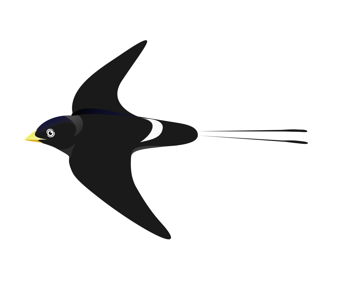 Pseudolangrayen d'Asie