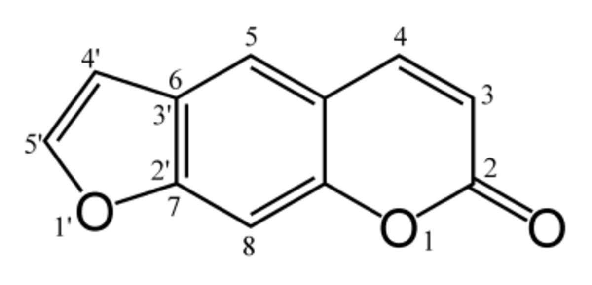 Psoralène