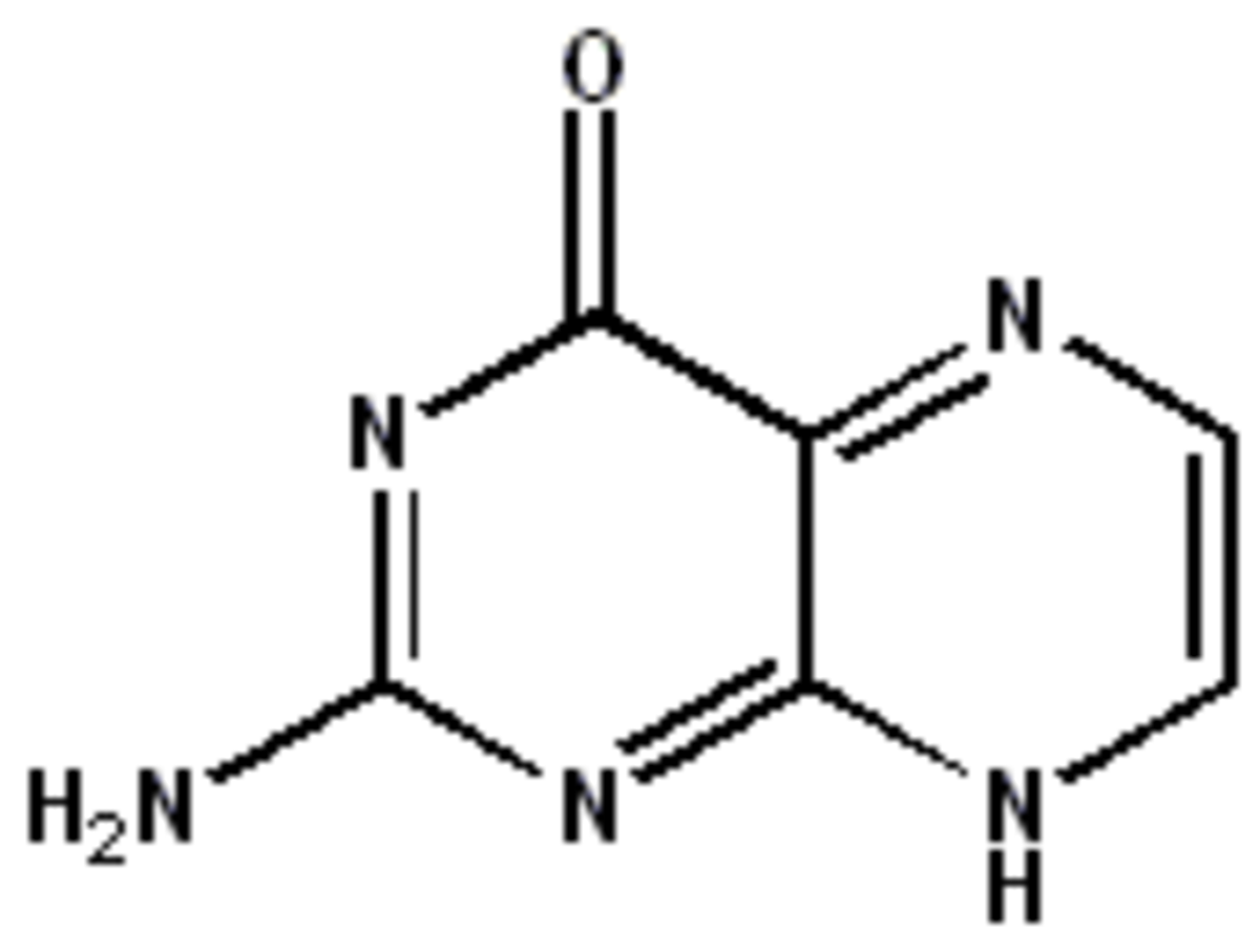 Ptérine