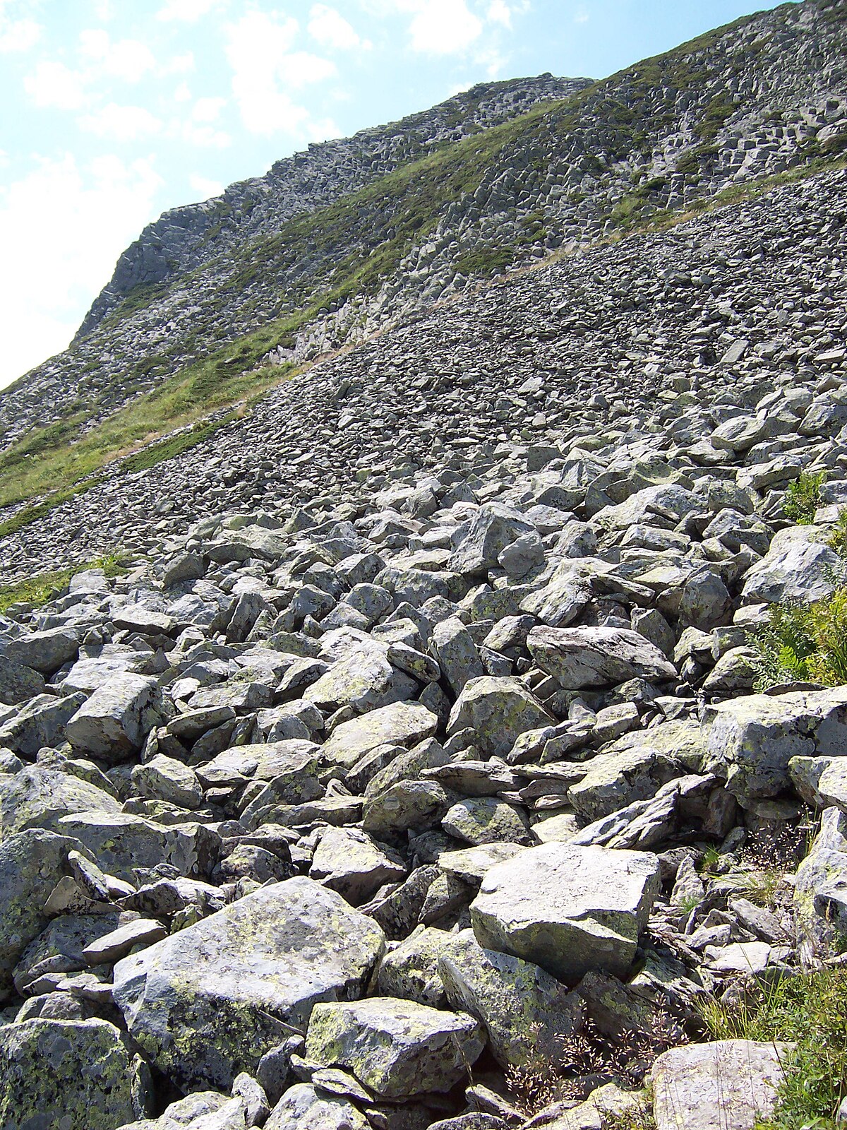 Phonolite