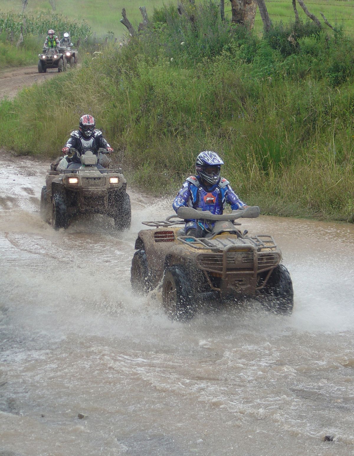 Quad (véhicule)