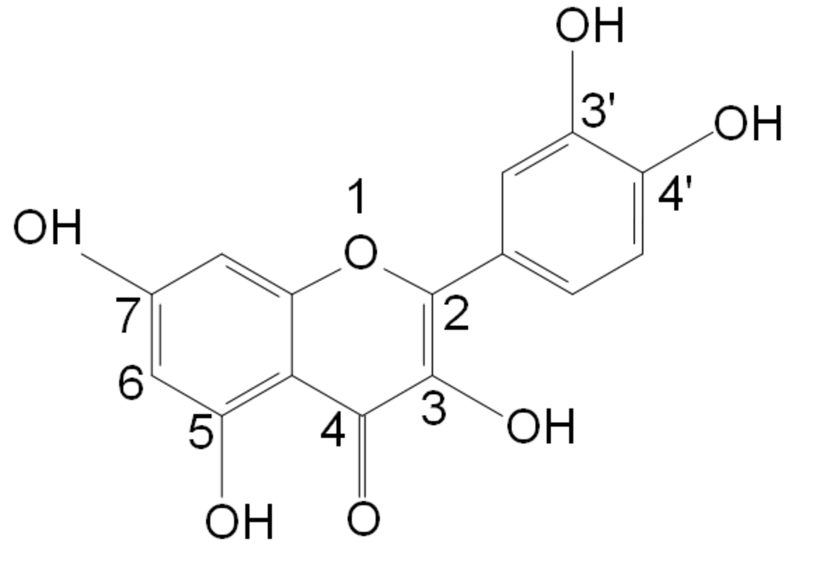 Quercétine