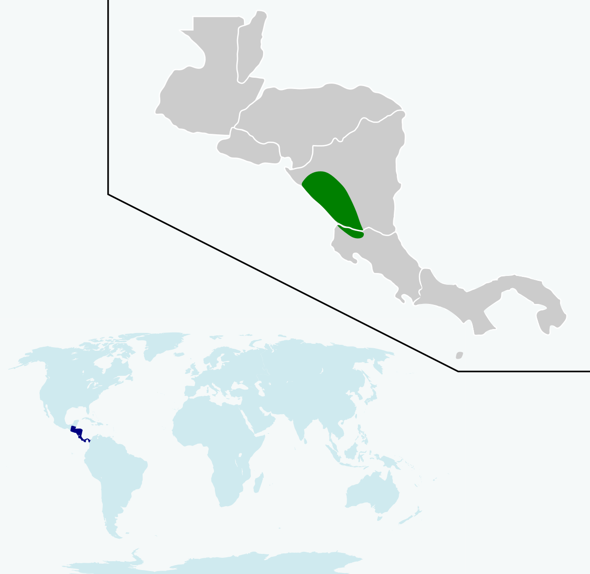 Quiscale du Nicaragua