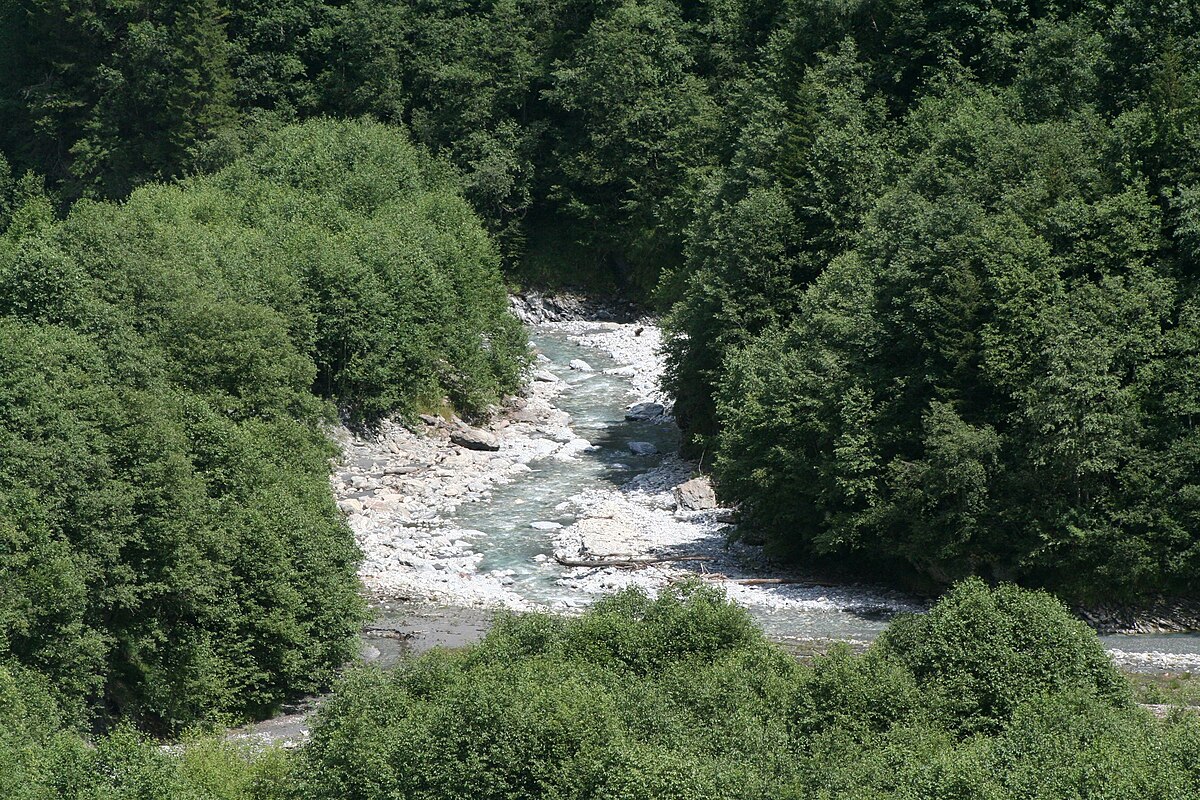 Rabiusa