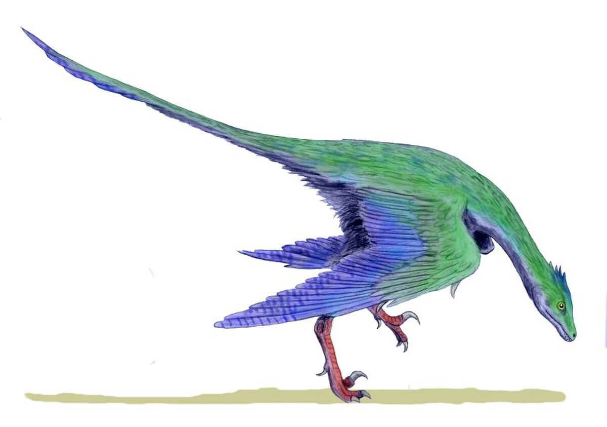 Dromaeosauridae