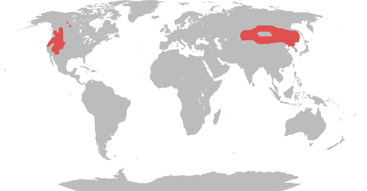 Range map cervus canadensis.svg