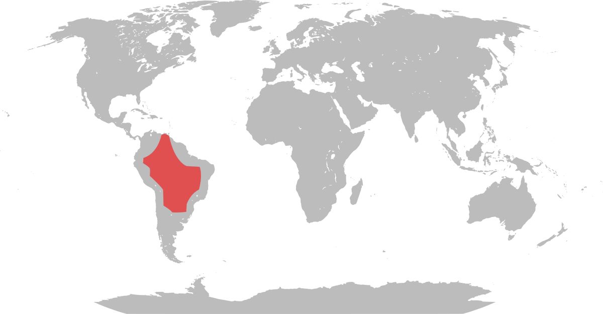 Range map pteronura brasiliensis.svg