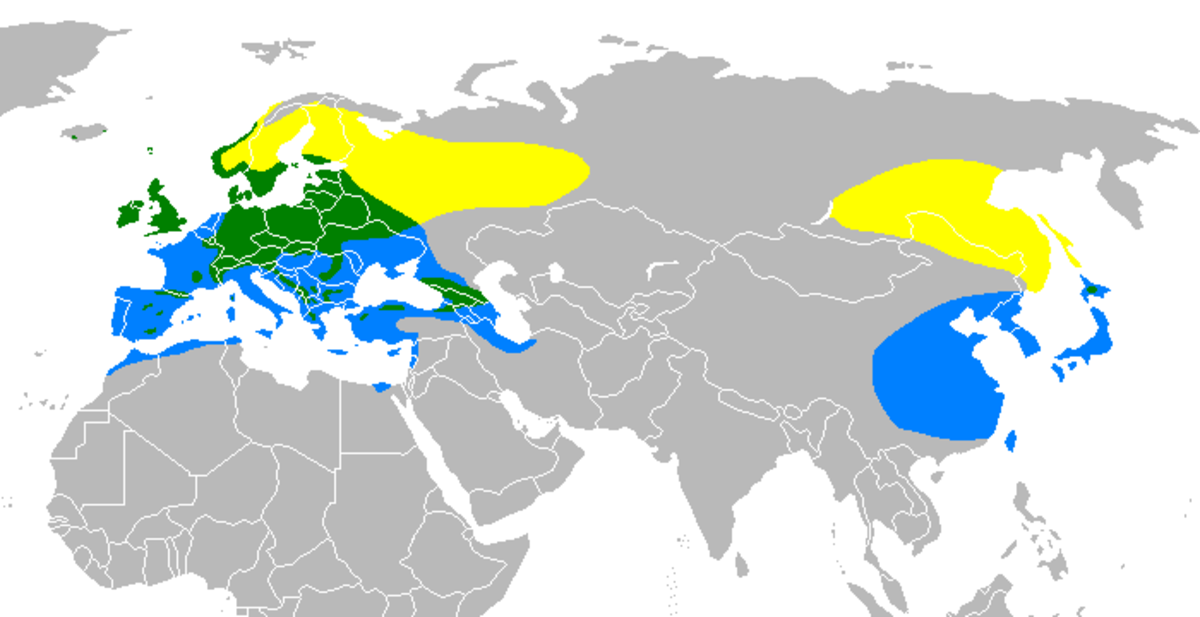 Rangemap-tarin.PNG