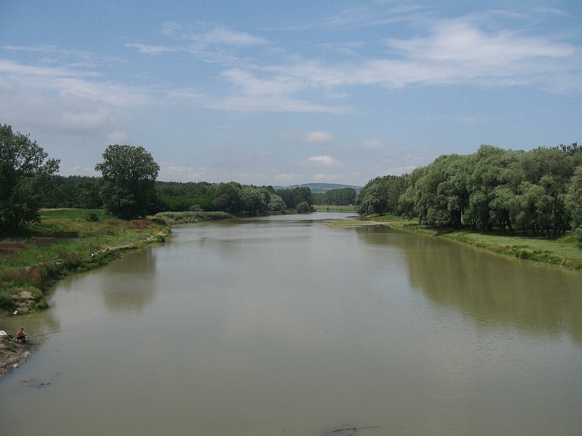 Suceava (rivière)