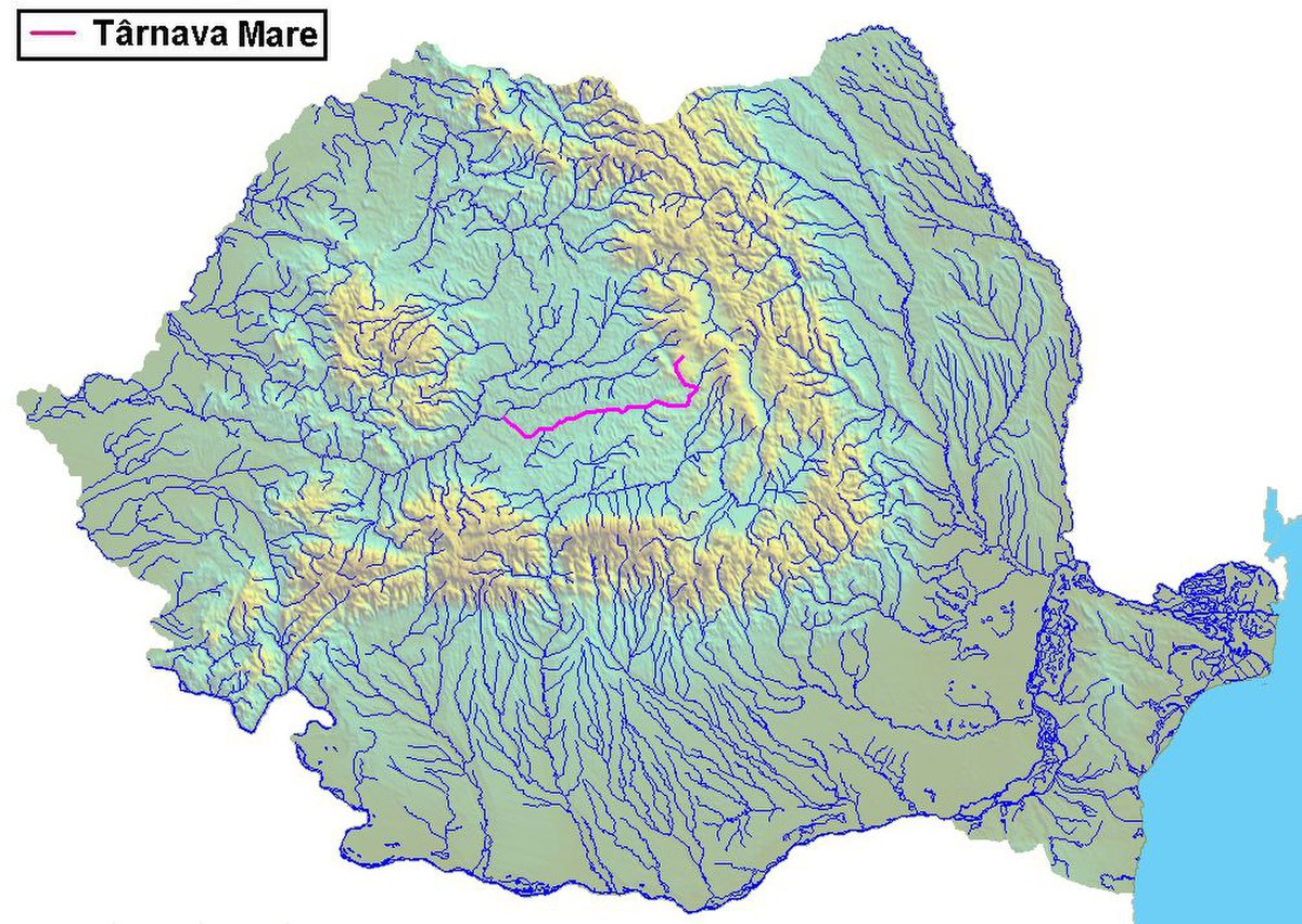 Raul Tarnava Mare.jpg