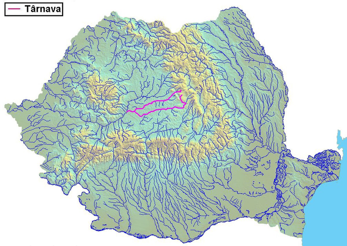 Târnava (rivière)