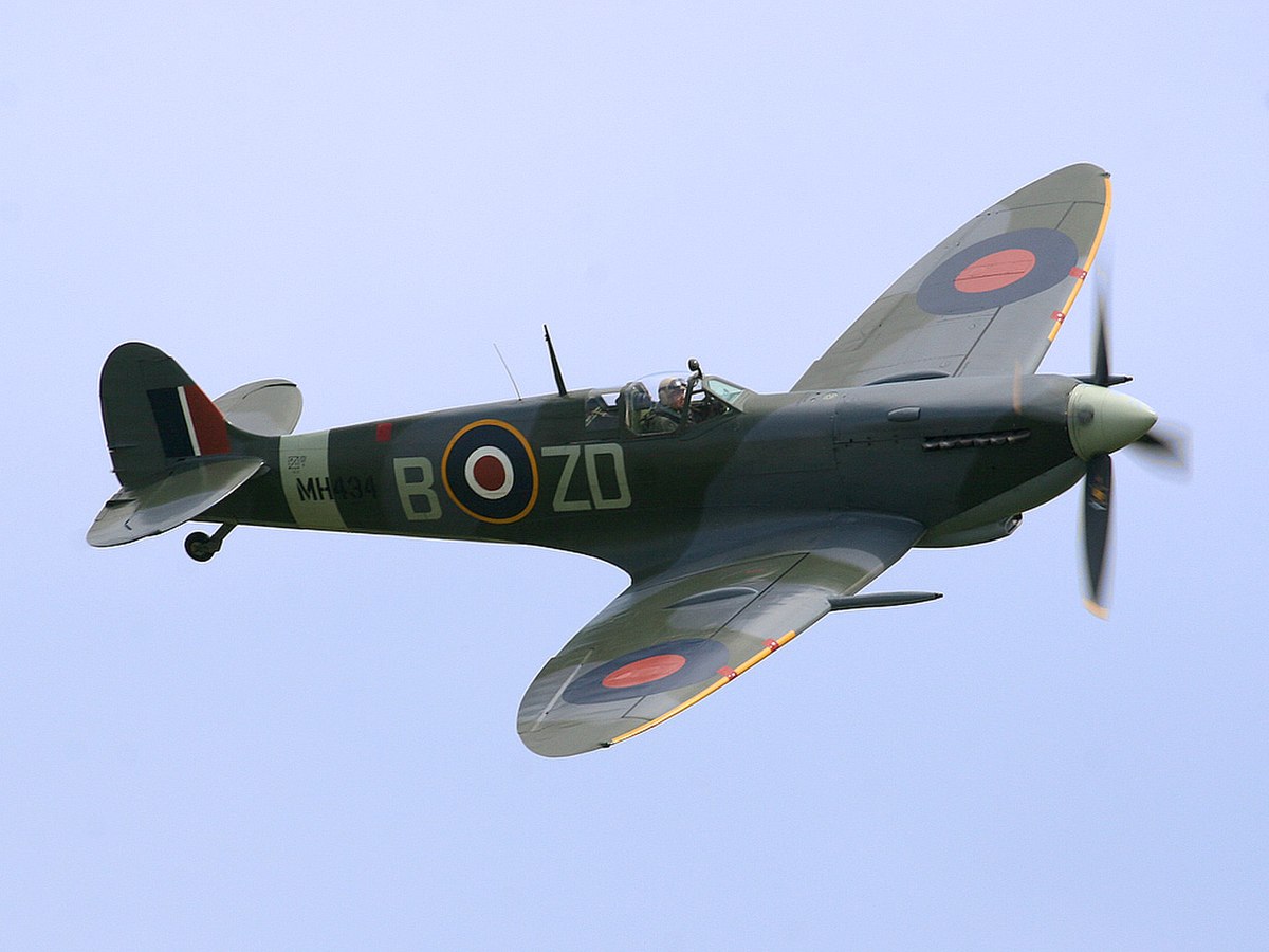 Warbird