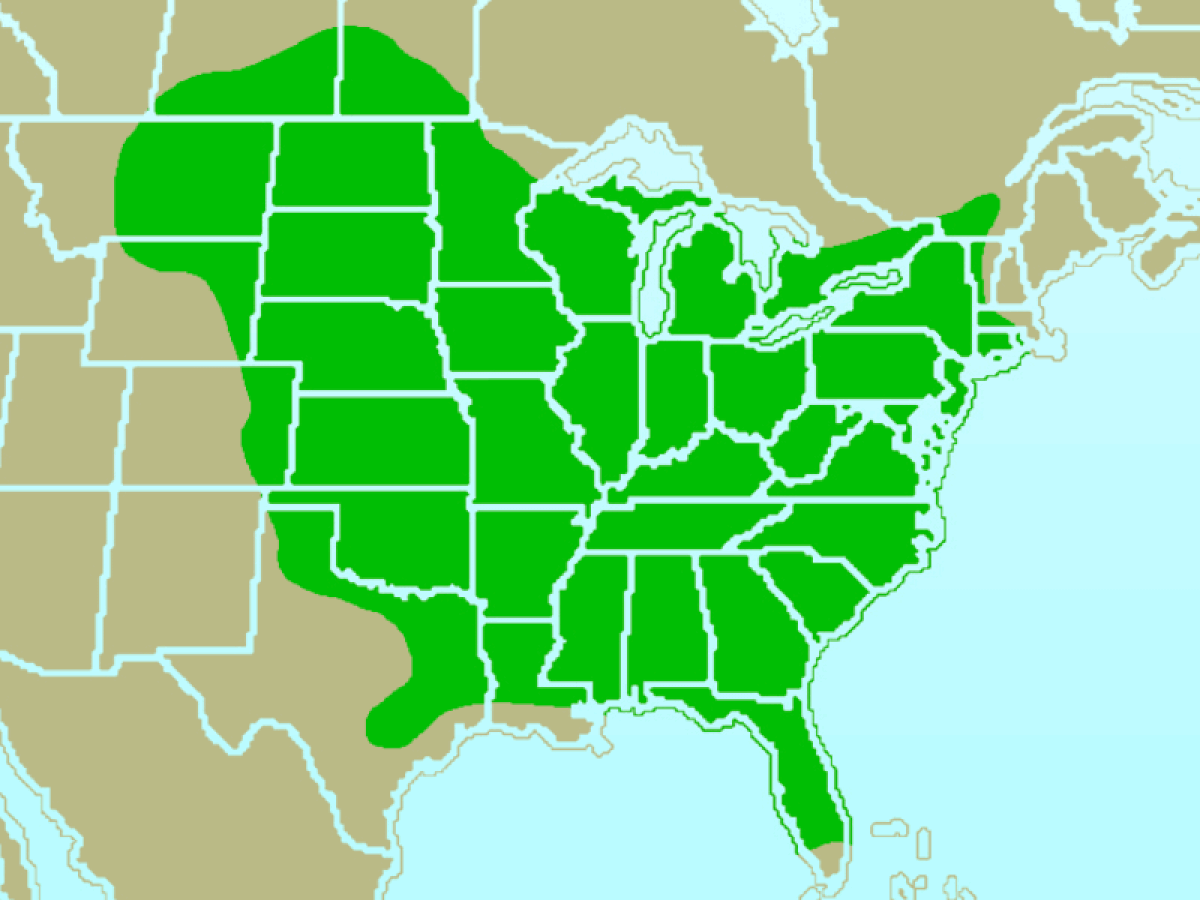 Red-bellied Woodpecker-rangemap.gif