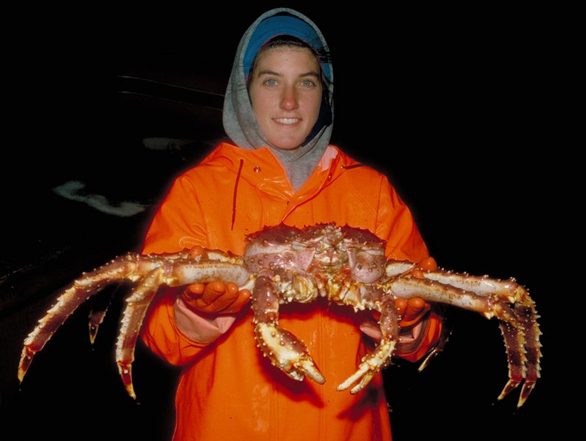 Crabe royal du Kamtchatka