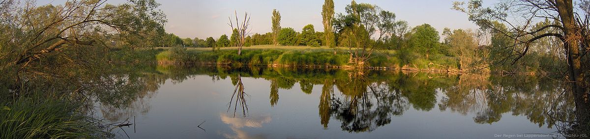 Regen (rivière)