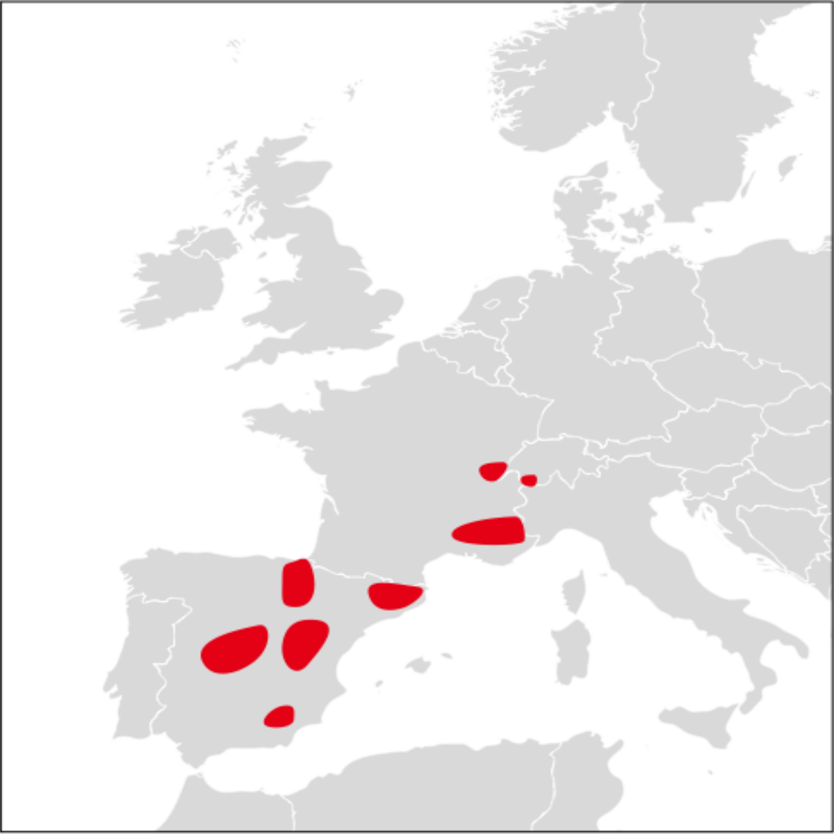 Repartition en Europe[type=embedded-definition] occidentale (l'espècepourrait potentiellement êtreprésente sur Pinus sylvestris au sud du Massif Central[1])