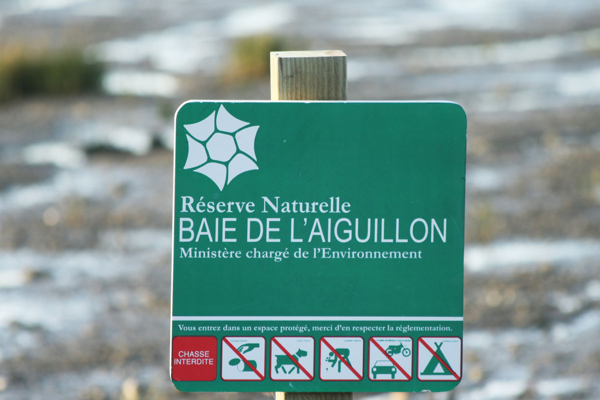 Reserve naturelle baie Aiguillon (1).jpg