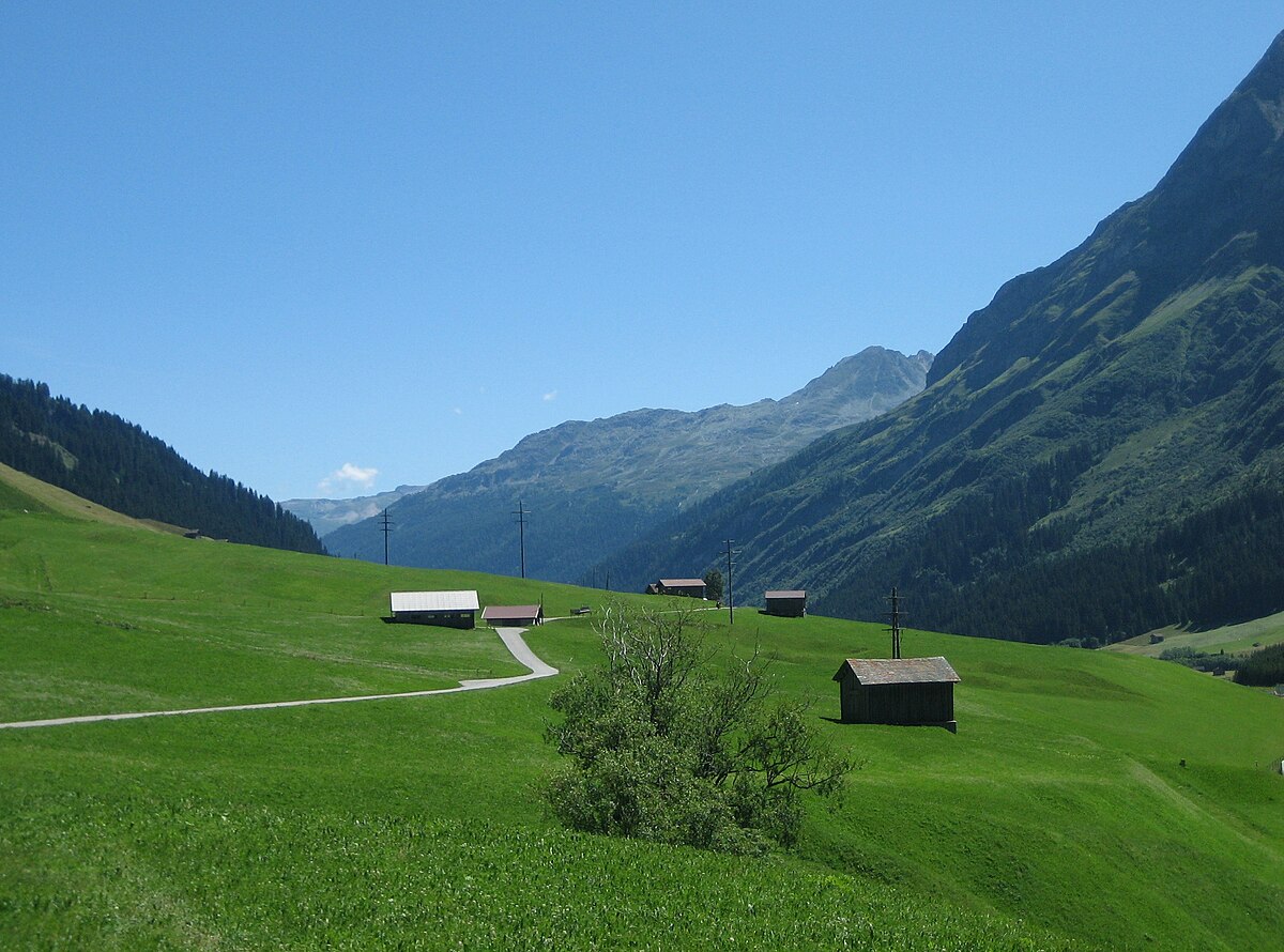 Rheinwald