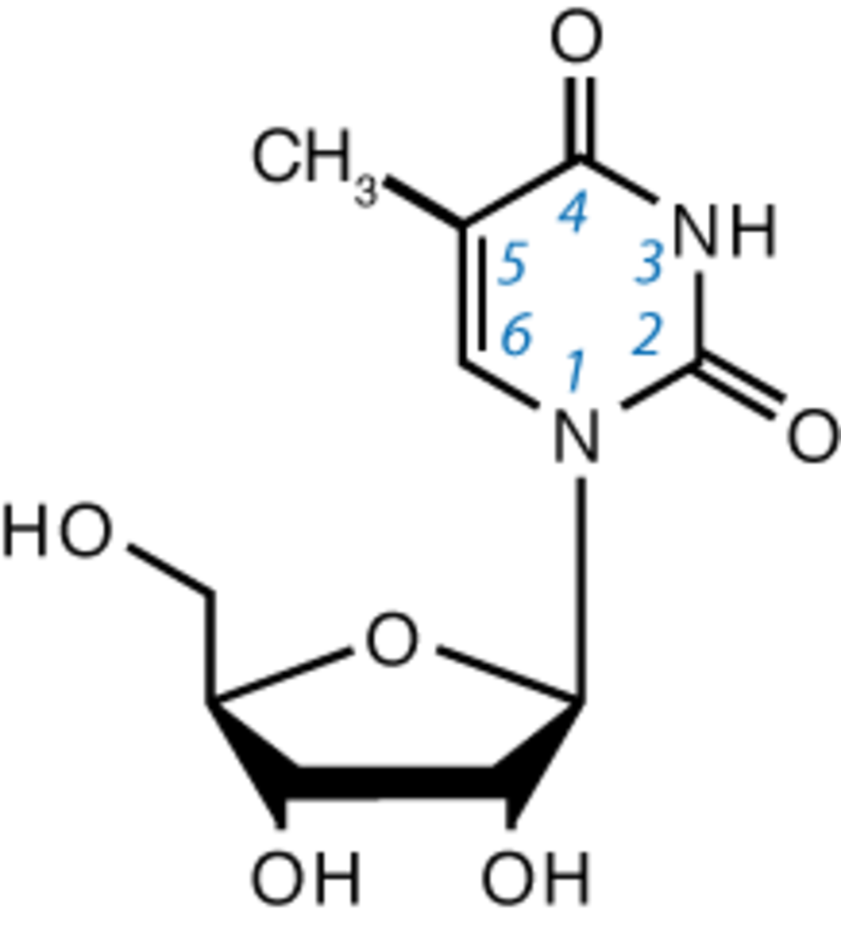 Ribothymidine