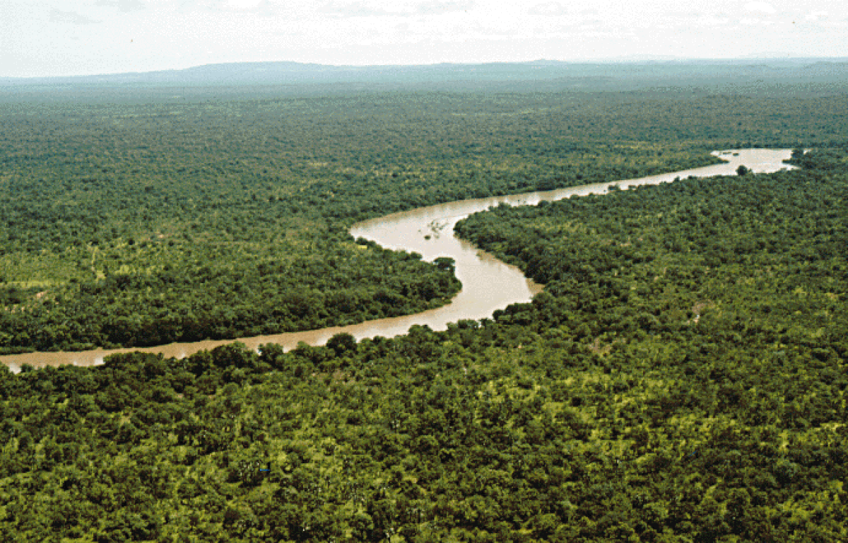 Fleuve