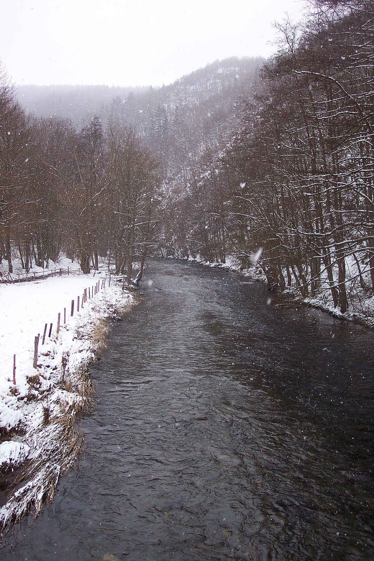 Roer (rivière)