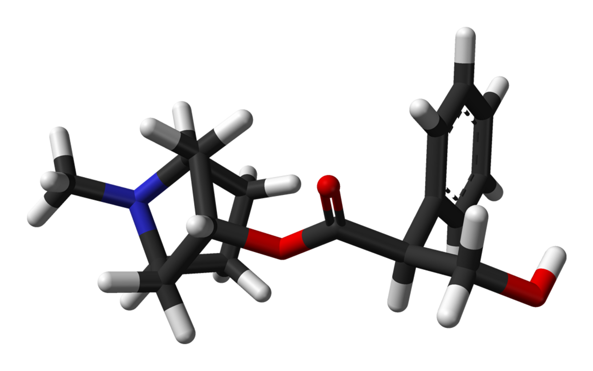 Énantiomère R de l'atropine (en haut) et S-atropine (en bas)