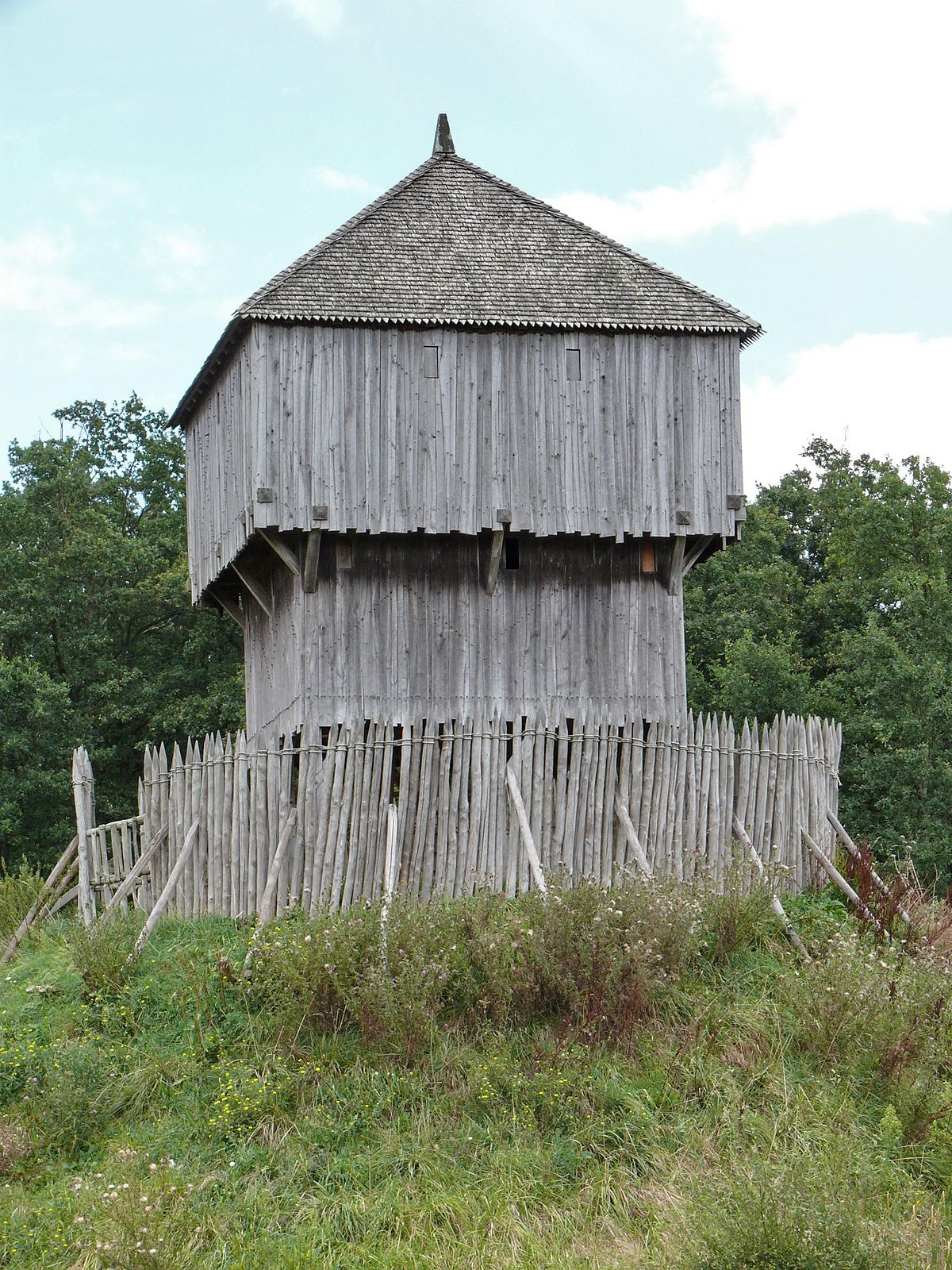 Motte castrale