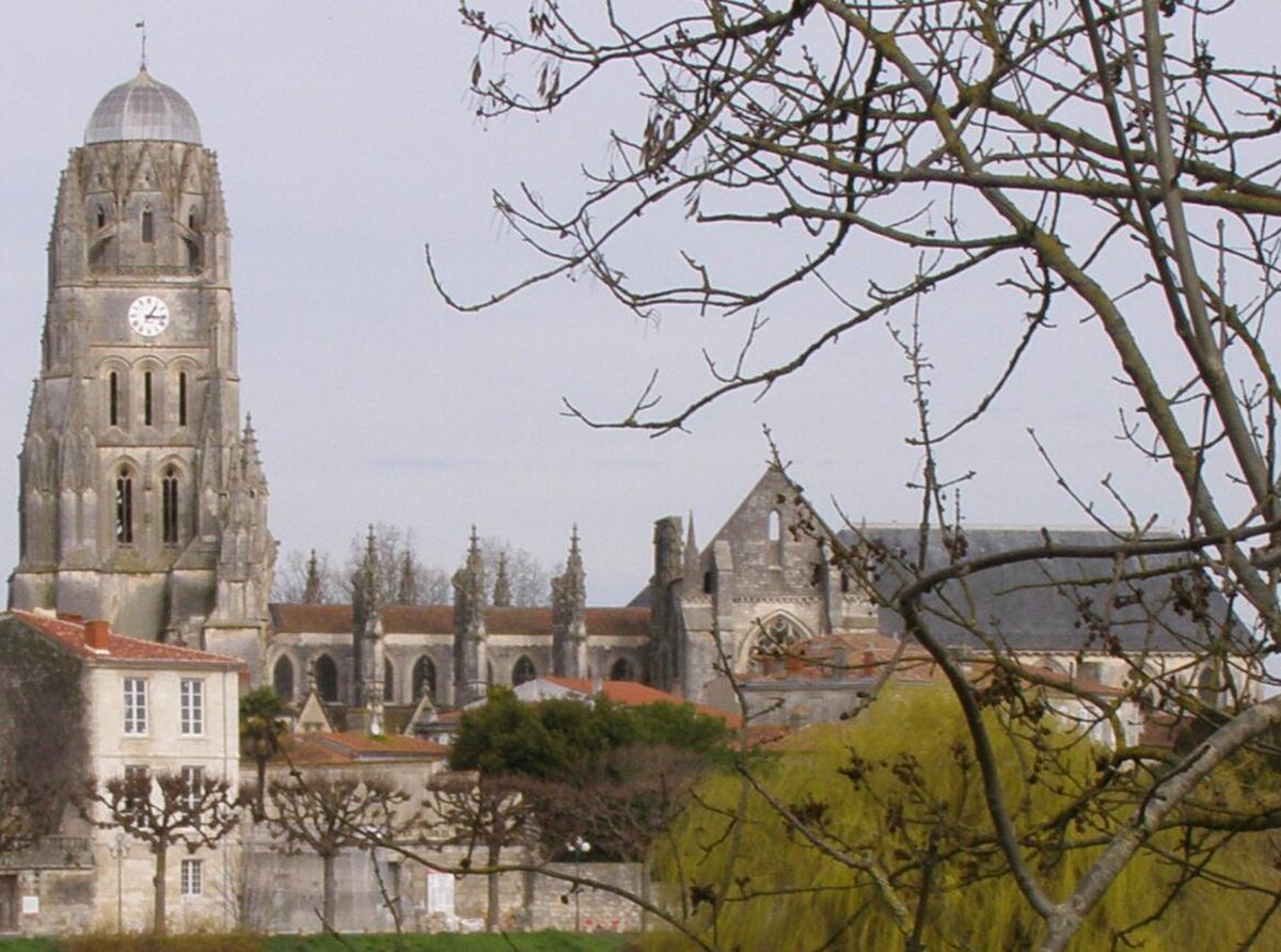 Cathédrale Saint-Pierre de Saintes