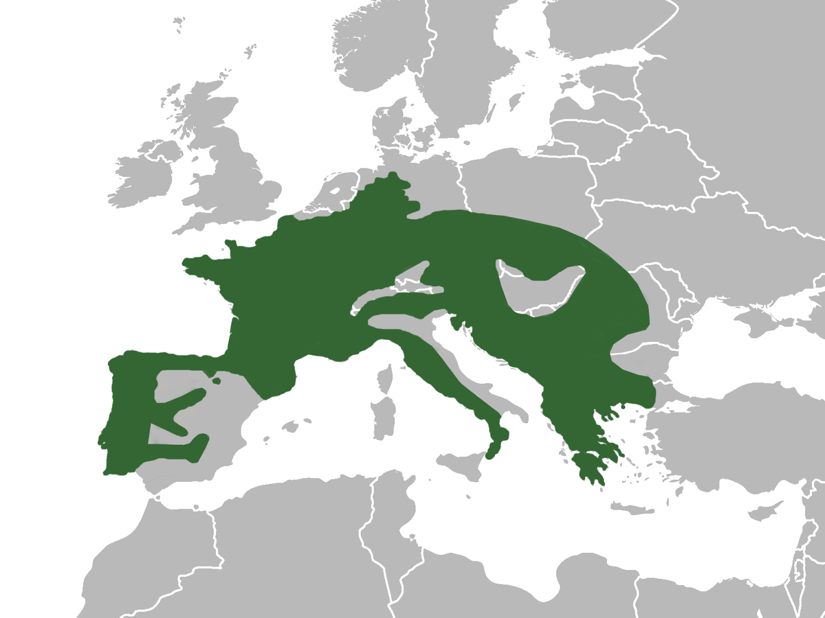 SalamandraSalamandraMap.png