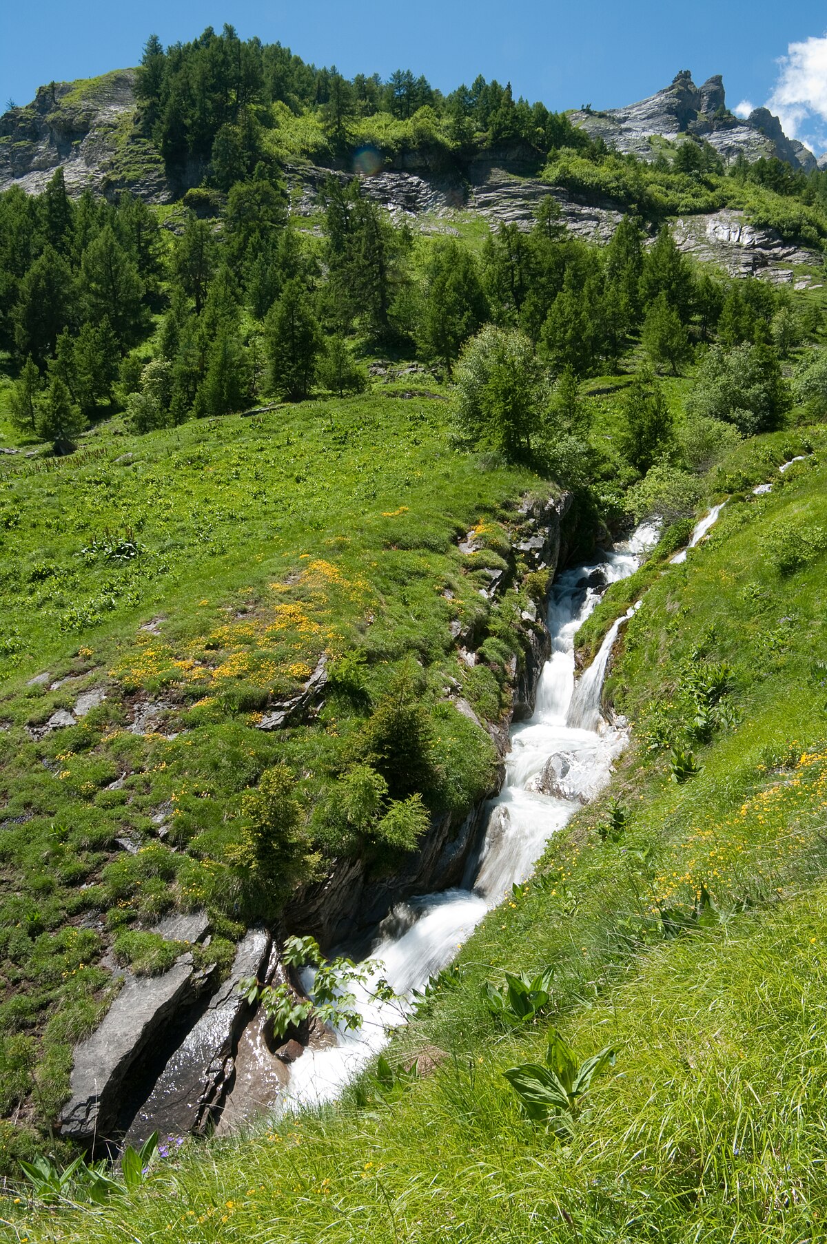 Salentse