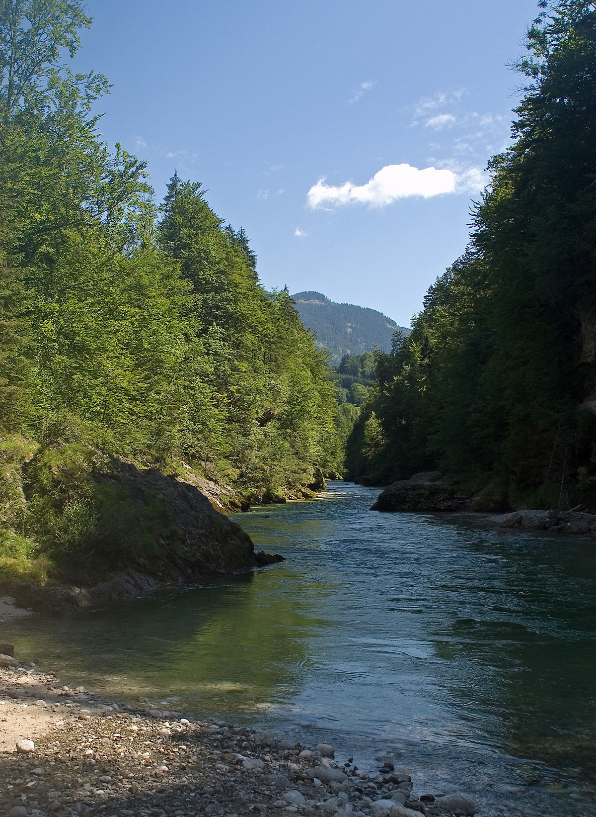 Salza (rivière)