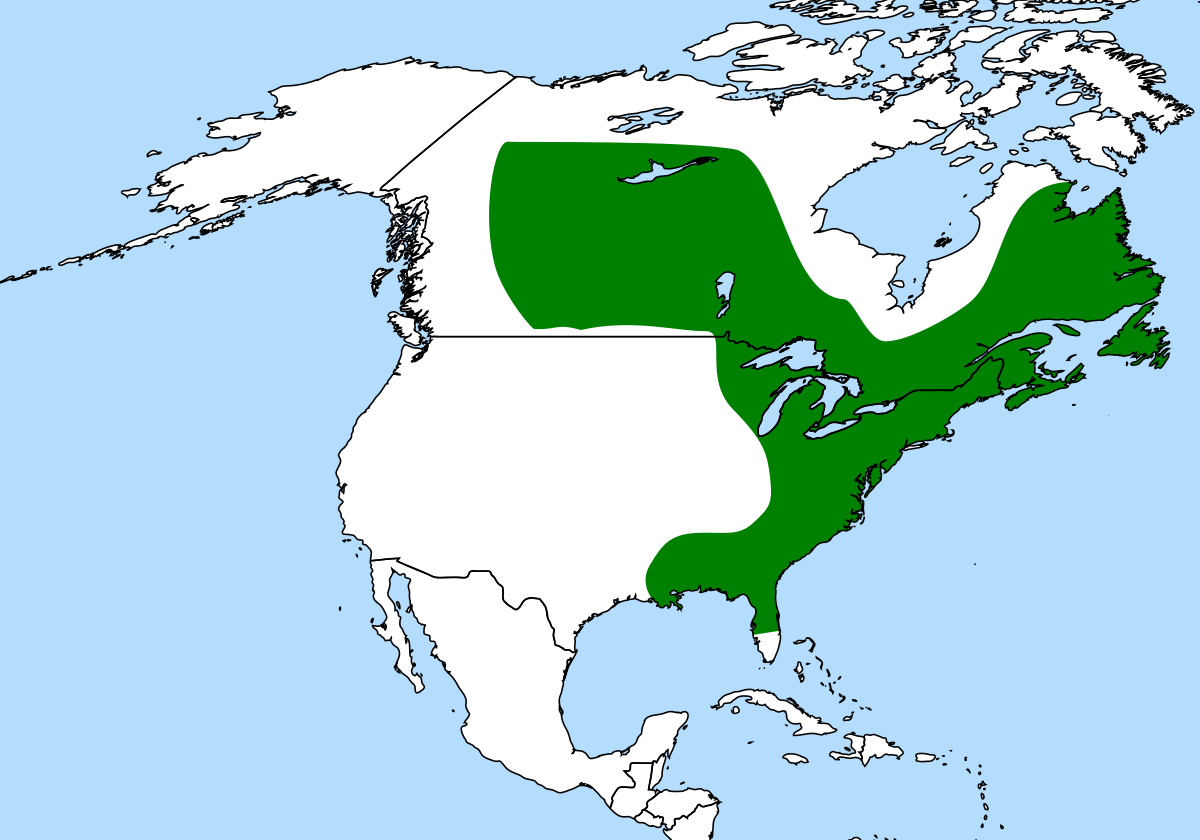 Sarracenia distribution.svg