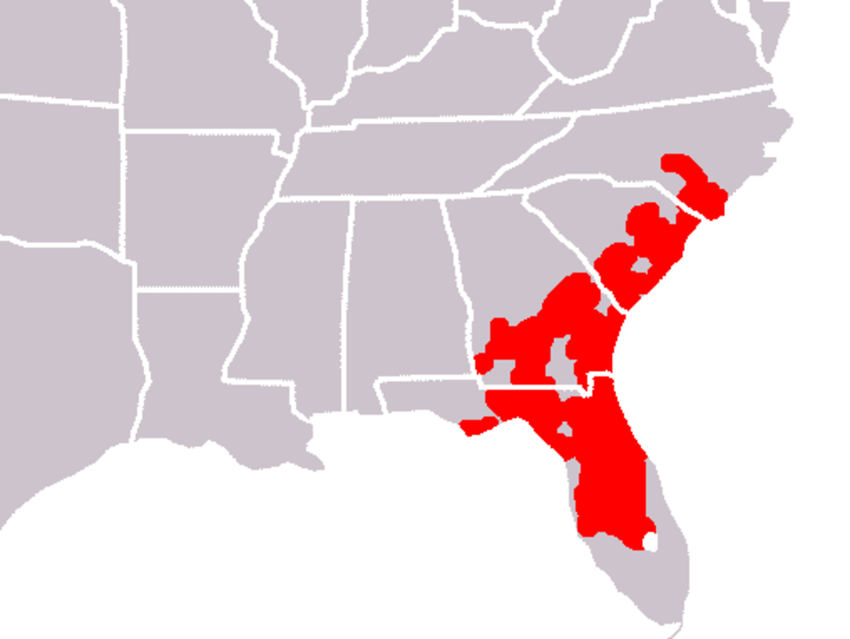 Sarracenia minor range.png