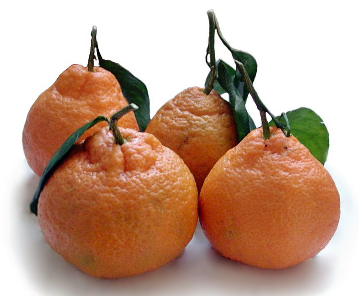 Mandarine