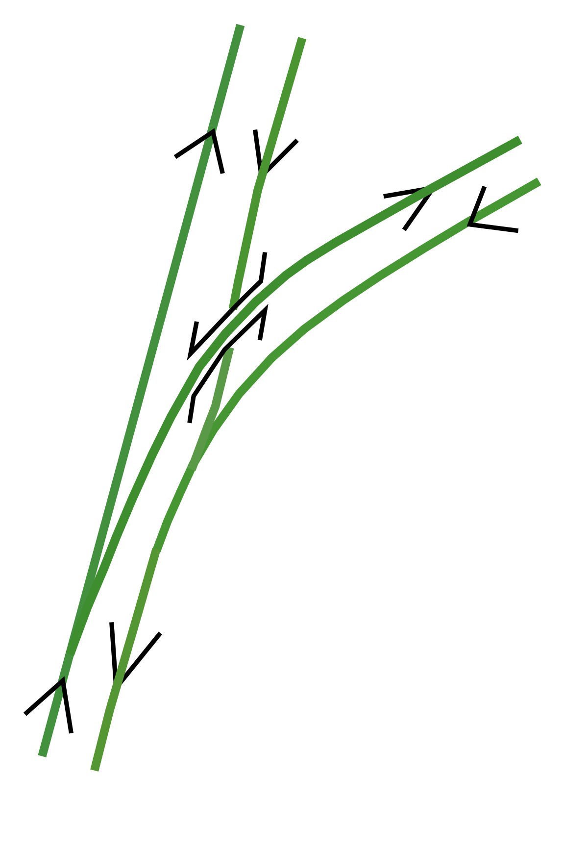 Bifurcation avec saut-de-mouton