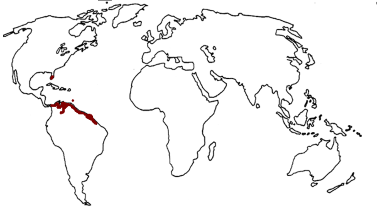 Scarlet Ibis range map.png