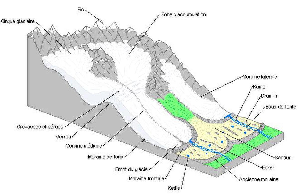 Schéma d'un glacier type.