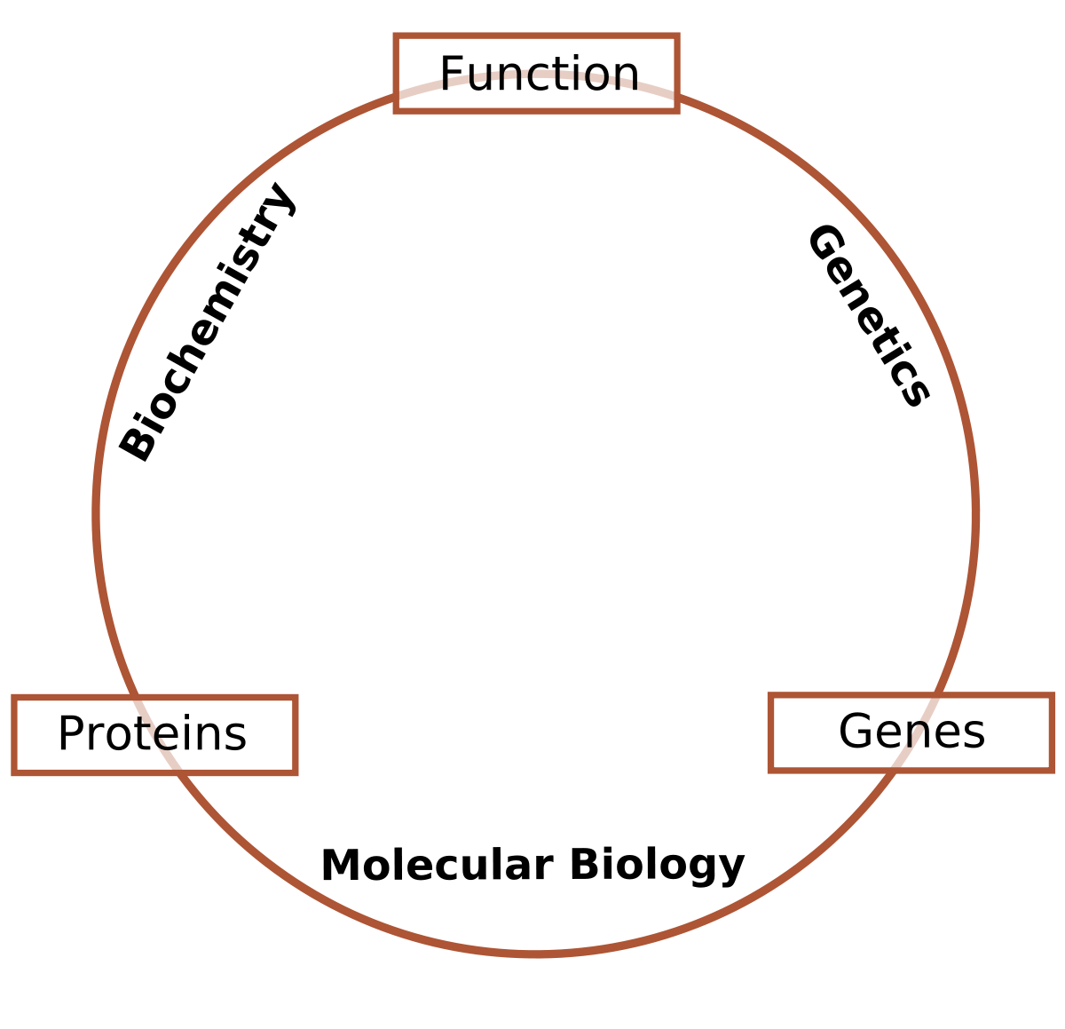 Biologie moléculaire