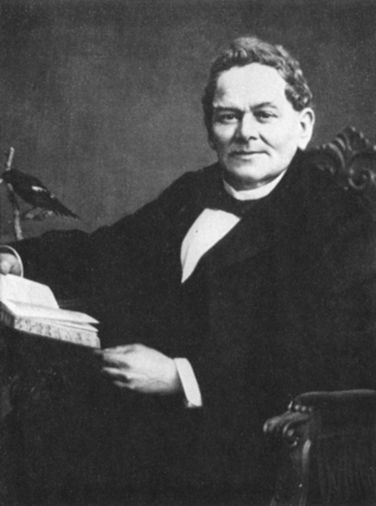 Hermann Schlegel