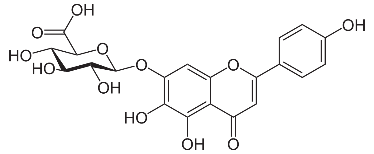 Scutellarine