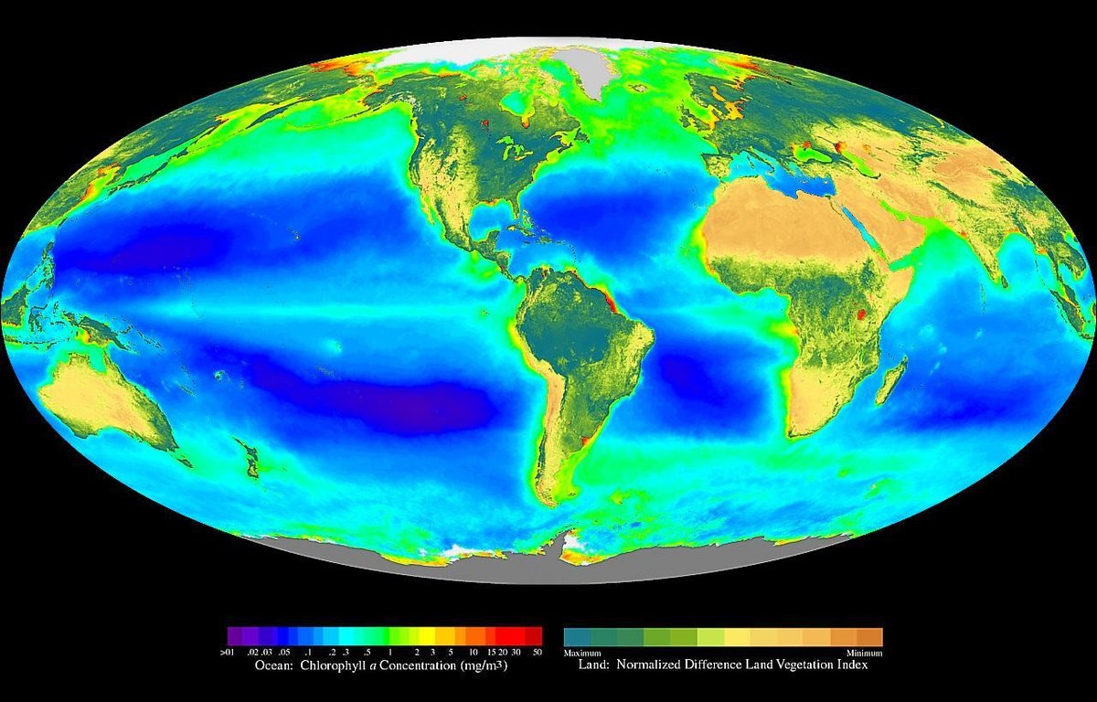 La photosynthèse est l'un des moteurs essentiels de la biosphère. Cette image composite rend visible en fausses couleurs (verts) les zones terrestres les plus végétalisées et les zones de concentration en plancton (Advanced Very High Resolution Radiometer instrument)