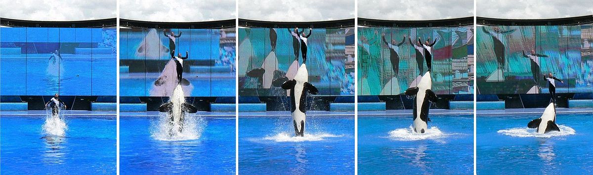 SeaWorld