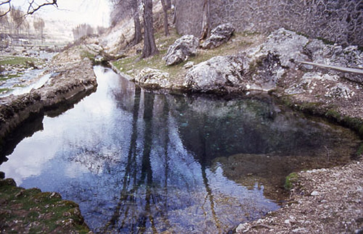Segura