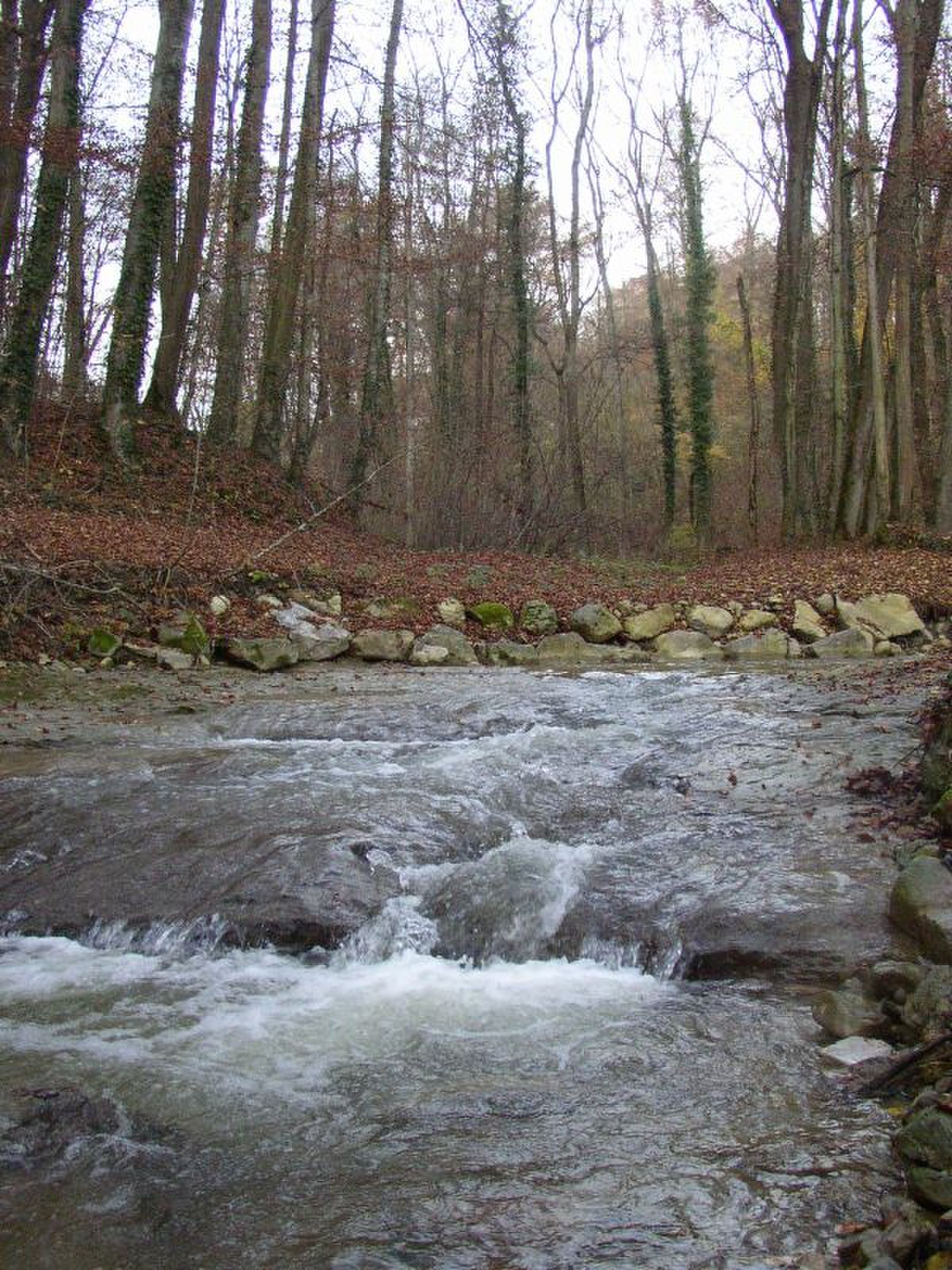 Morges (rivière)