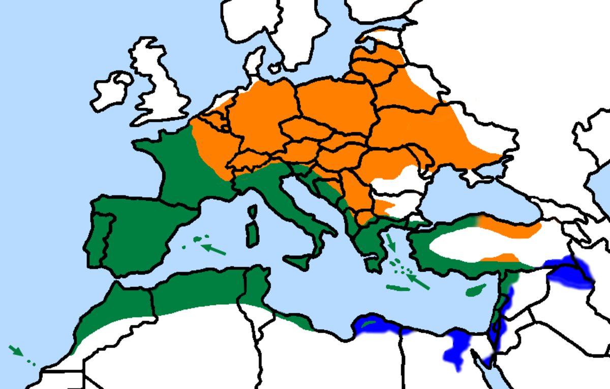 Serinus serinus 01 distr.png