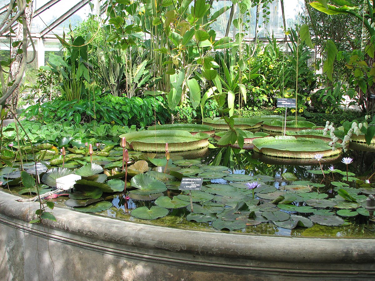 Jardin botanique de Lyon